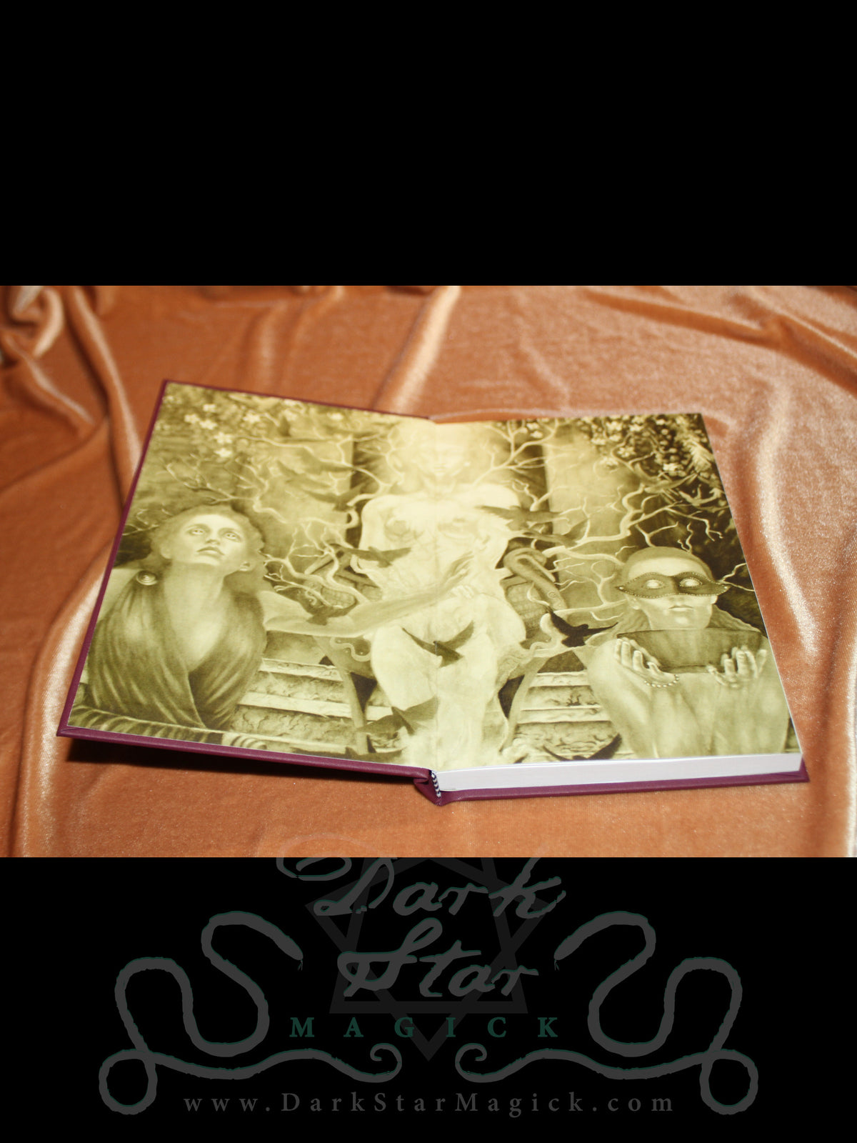 The Sun at Night (Limited Revised Edition)