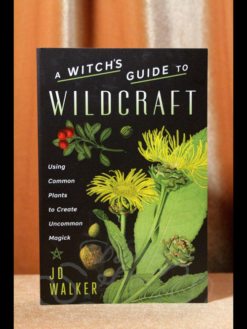 A Witch's Guide to Wildcraft