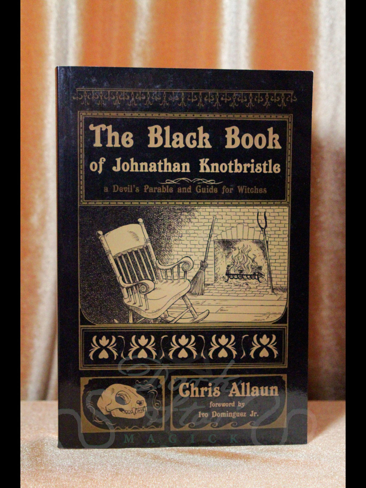 The Black Book of Johnathan Knotbristle