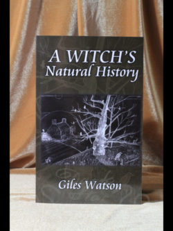 A Witch's Natural History by Giles Watson