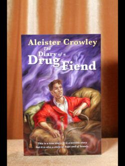 The Diary of a Drug Fiend