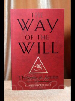 The Way of the Will