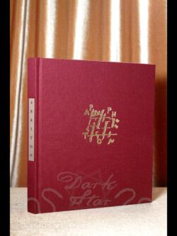 Arriton is an enigmatic work from the artist Ayis Lertas