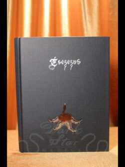 Esezezus Orryelle Defenestrate-Bascule