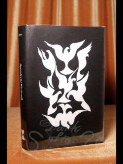 apocalyptic witchcraft