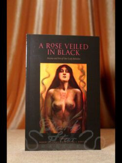 A Rose Veiled In Black