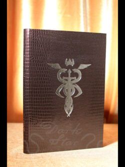 The Sword and the Serpent : Being the Visions of the Twenty-two Paths of Sepher Yetzirah